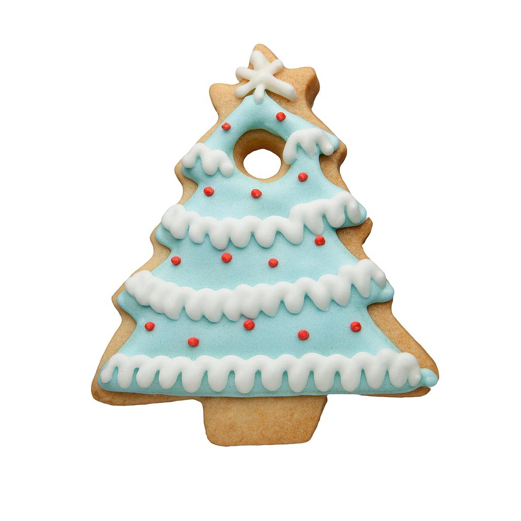 Biscuit Sapin de Noël 40g x 10