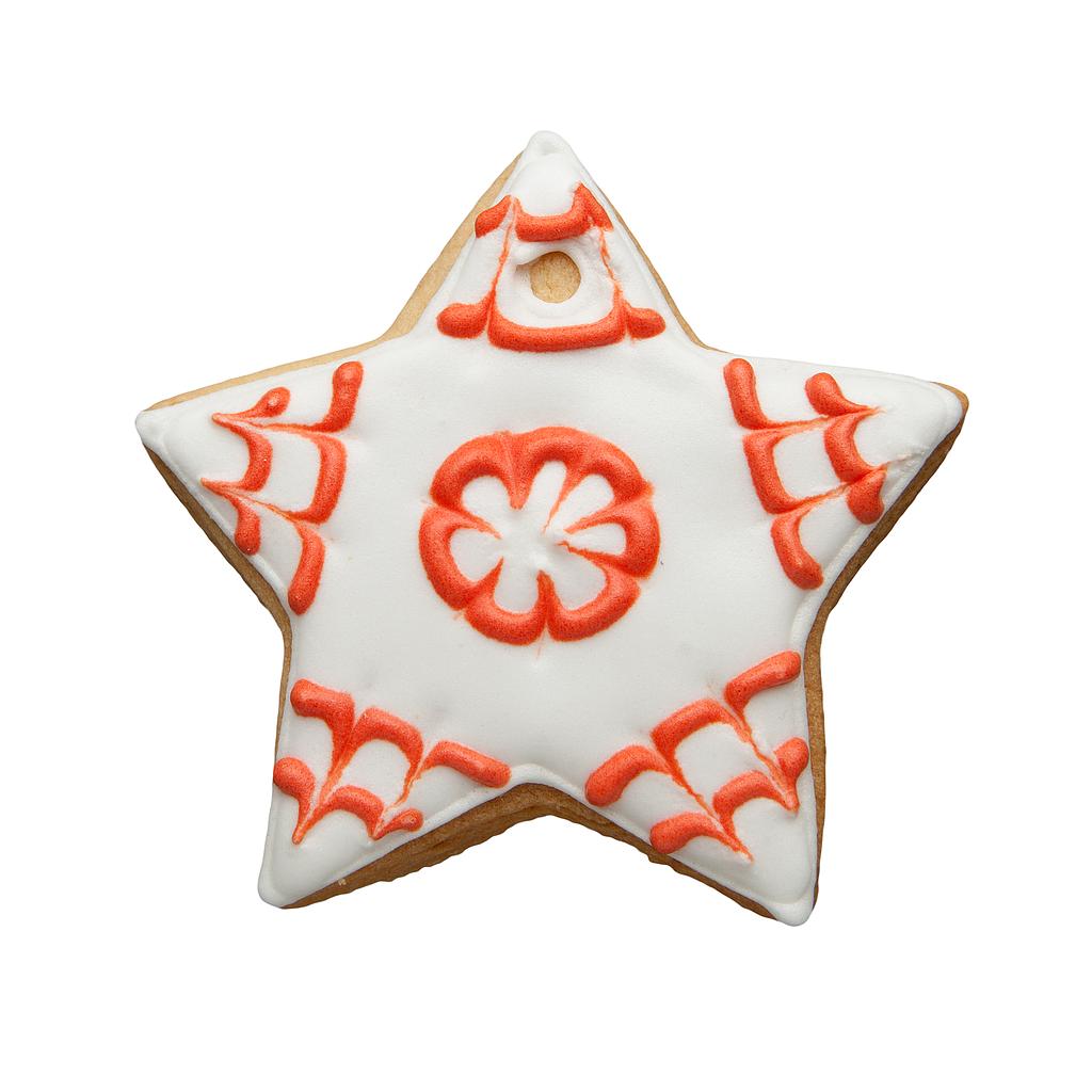 Biscuit Etoile de Noël 40g x 10