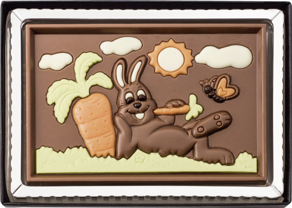 Boite choc plat lapin carotte 80g x 8