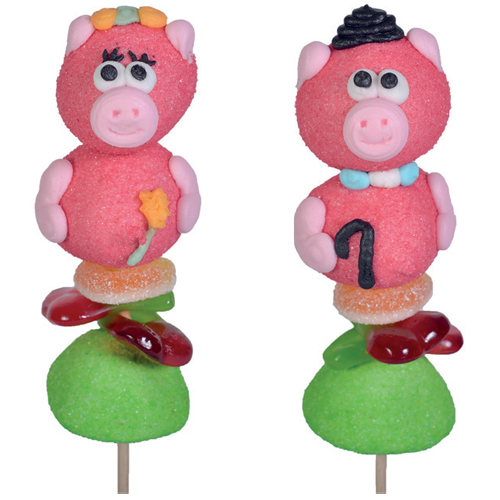 Brochette cochon 55g x 40