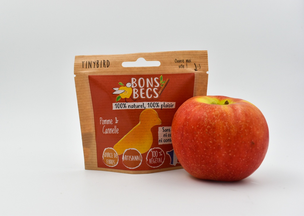 Sachet pomme cannelle 40g x 12