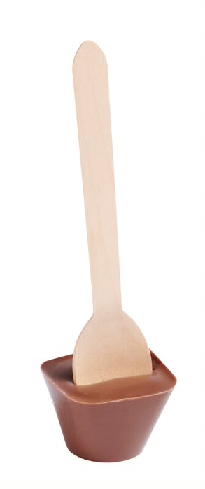 *Cuillère chocolat lait praliné 50g x 10