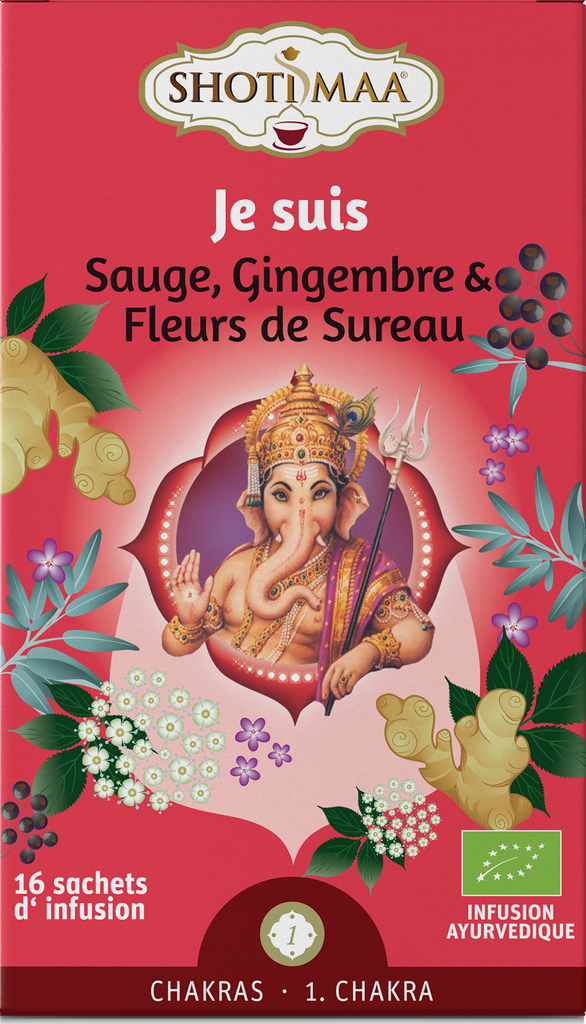 Infusion SHOTIMAA sauge gingembre et fleurs de sureau Bio 32g X6