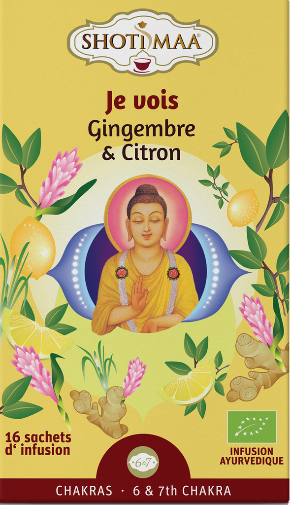 Infusion gingembre et citron Bio 32g X6