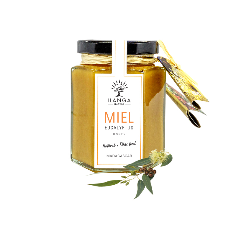 Miel d'Eucalyptus 140g X12