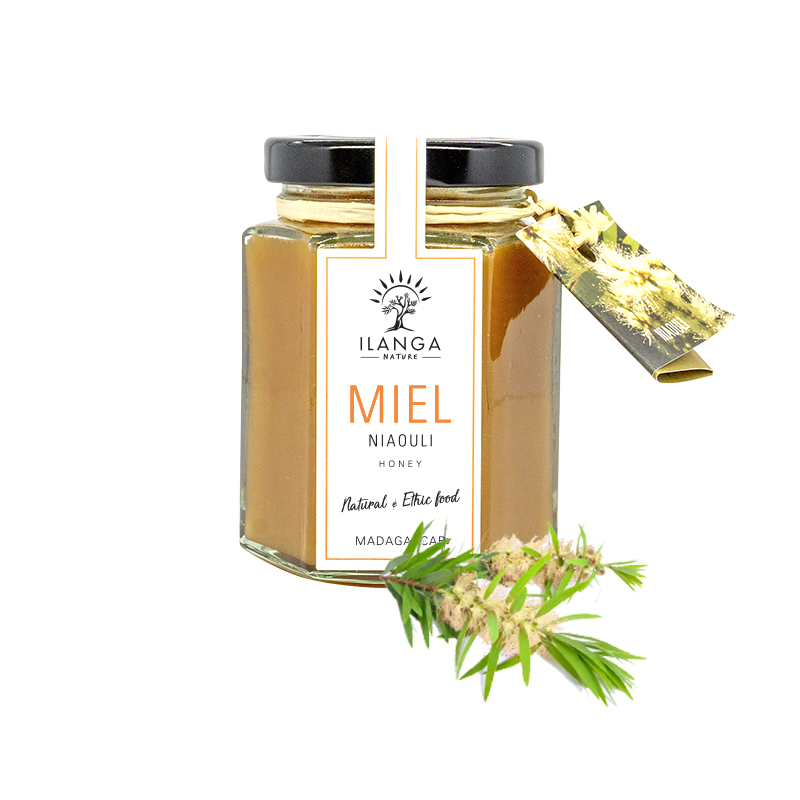 Miel de Niaouli (forêt) 140g X12