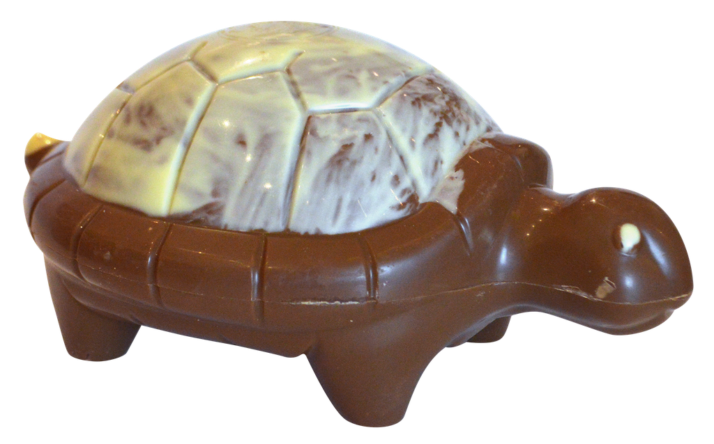 Tortue chocolat lait 180g x 11