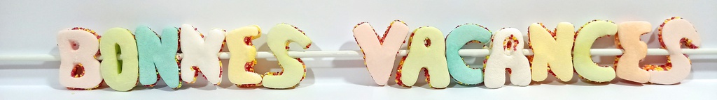 Brochette Bonnes vacances 70g x 20