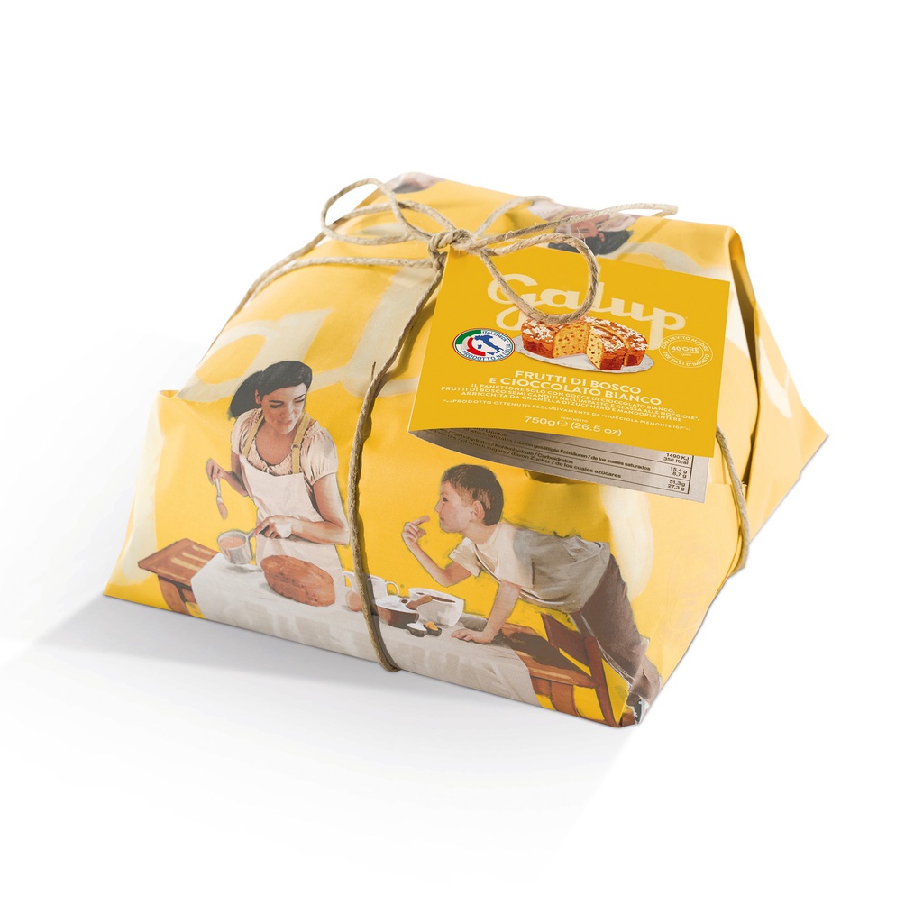 Panettone baie sauvage chocolat blanc COLOR 750g X6