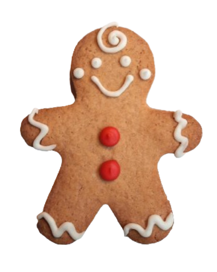 Biscuit Spéculoos Bonhomme 40g X12