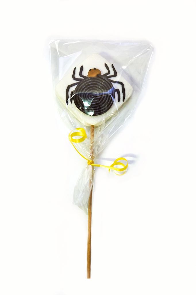 Brochette Spider 40g x 15