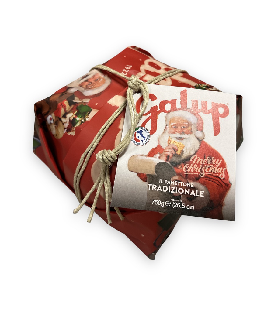 Panettone GALUP traditionnel 750g X6