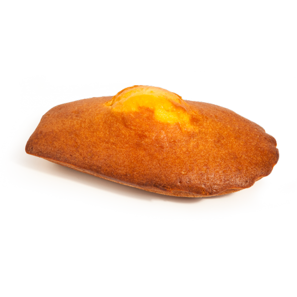 Madeleine géante Noël Saint Michel 315g X8