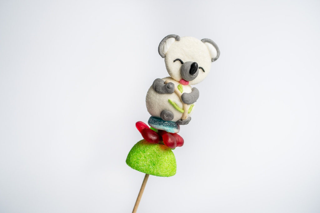 Brochette Koala 55g x 40 