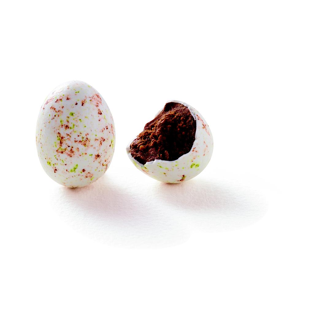 Oeuf mouette cigogne praliné 2.5kg x1
