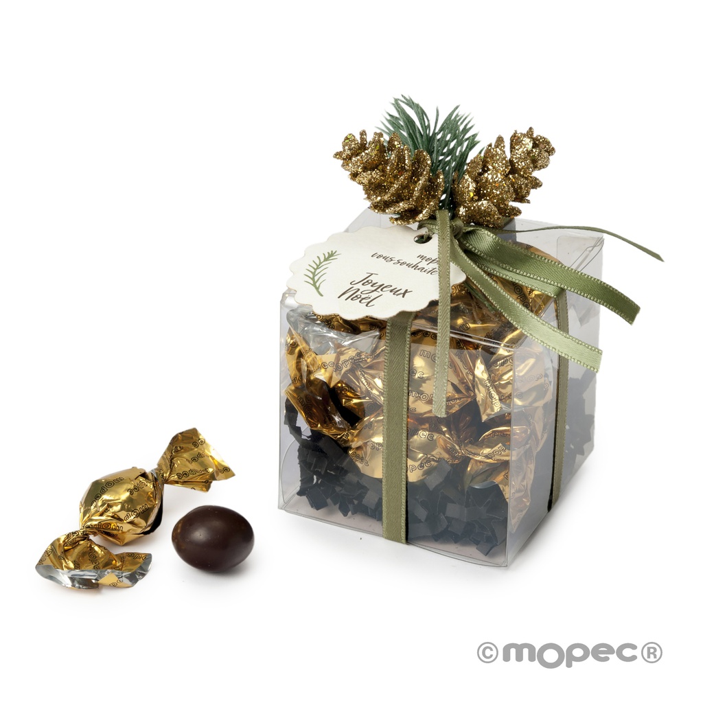 Cube pomme de pin 31g x16