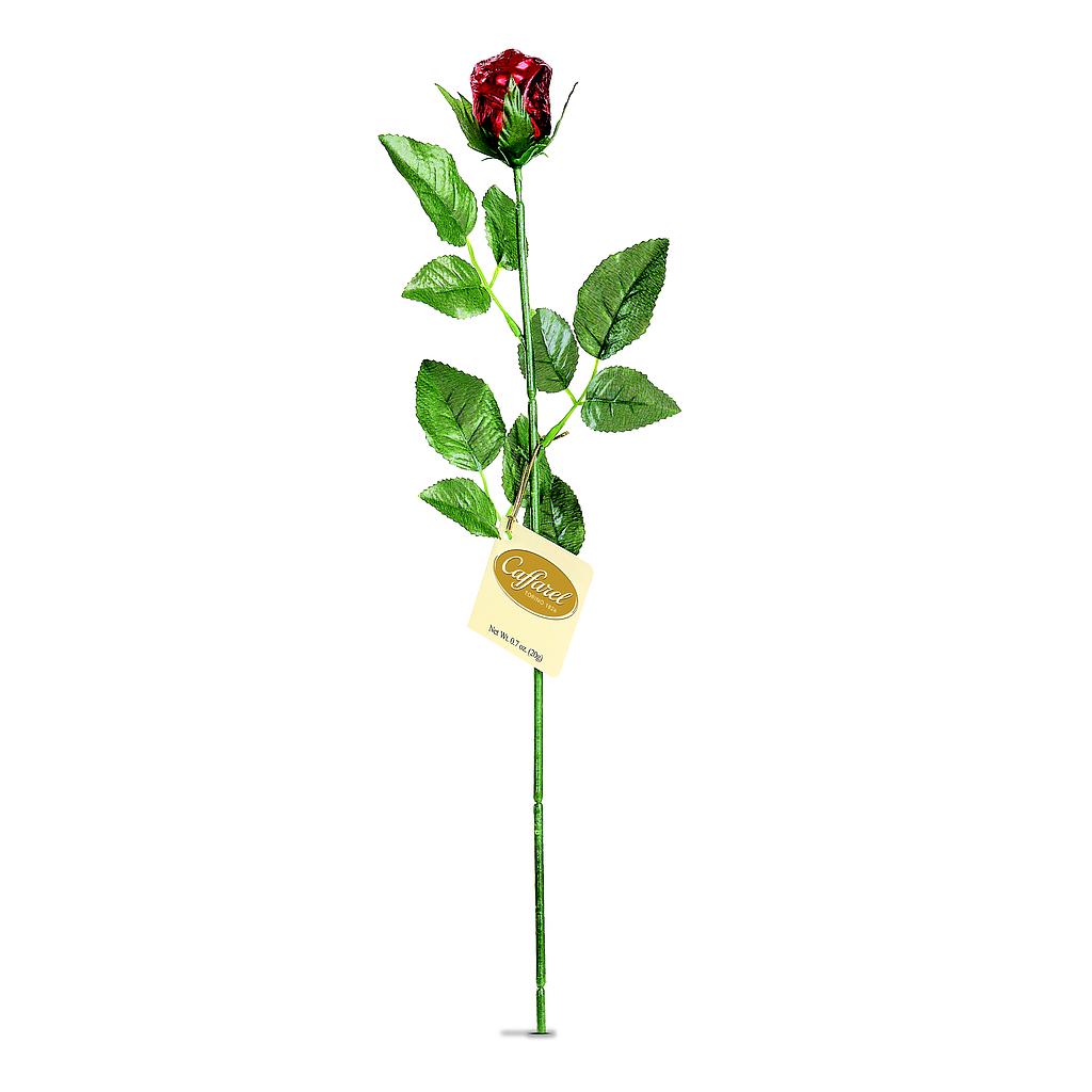 Roses rouges 20g x 12